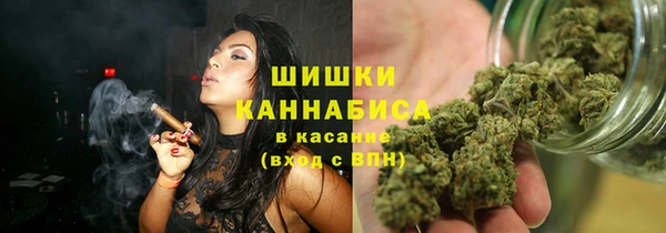 гидра Абаза