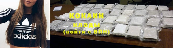 гидра Абаза