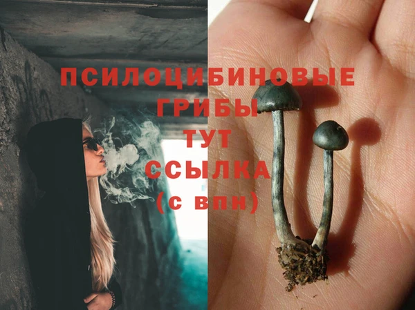 гидра Абаза