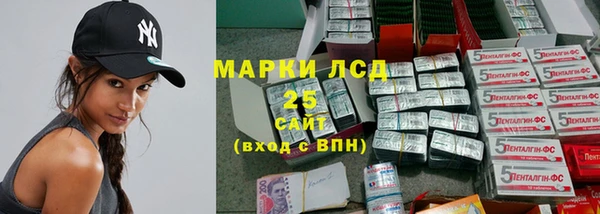 гидра Абаза