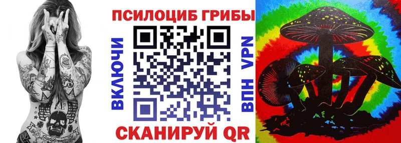 дарк нет состав  Мосальск  Псилоцибиновые грибы Cubensis 